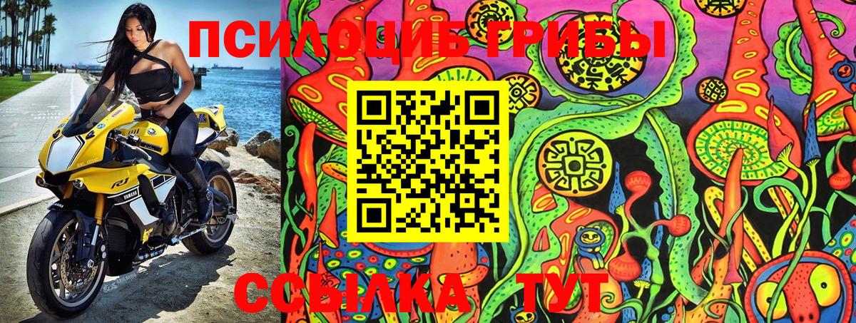 Галлюциногенные грибы GOLDEN TEACHER  Вход с VPN  Чебоксары 